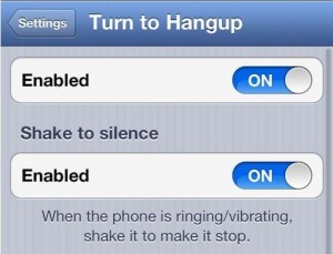 turn-2-hangup